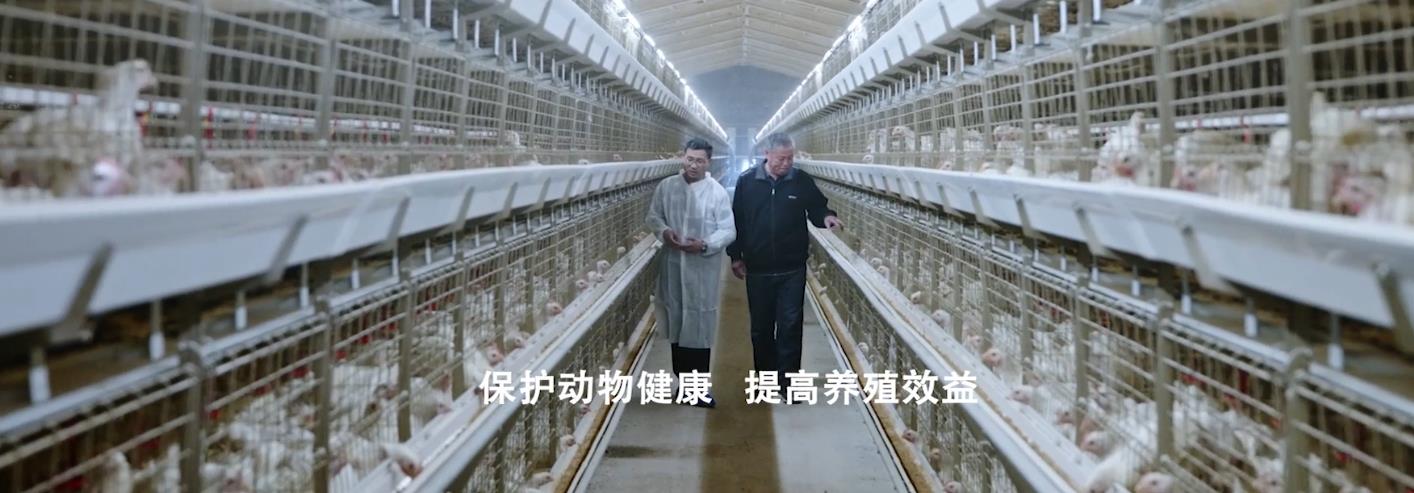 自然远离抗生素